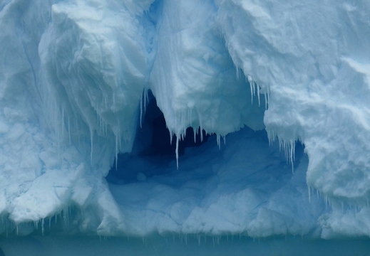 013  Cierva Cove
