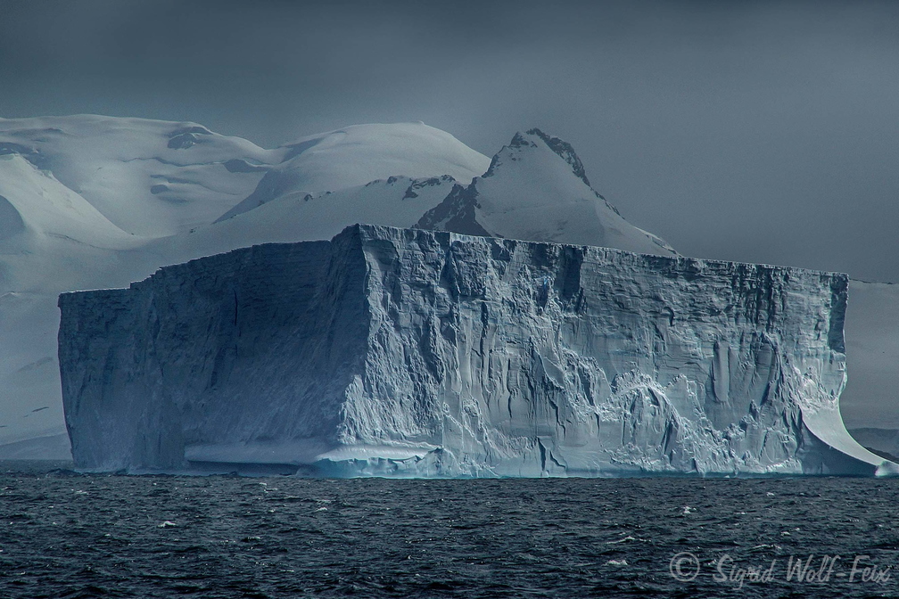 019 Antarktis, Wedell Meer.jpg
