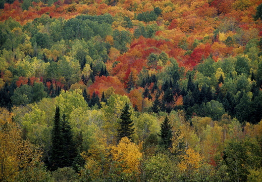 005 Indian Summer