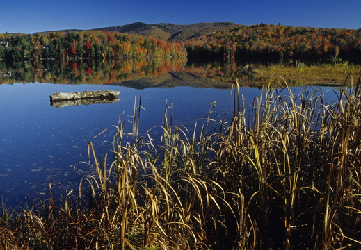 010 Kent Pond, Vermont
