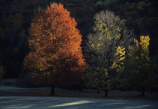 013 New Hampshire