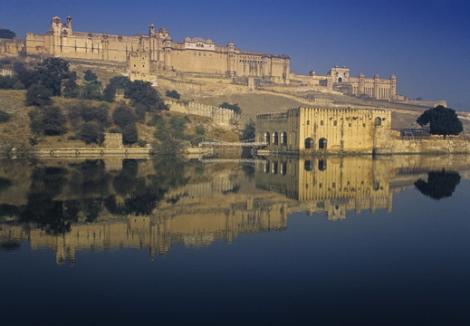 035 Fort Amber