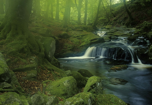 003 Bach in den Wicklow Mountains