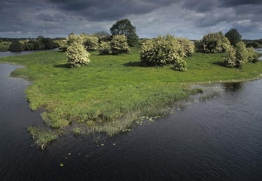 012 River Shannon