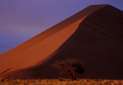 004 Sossusvlei