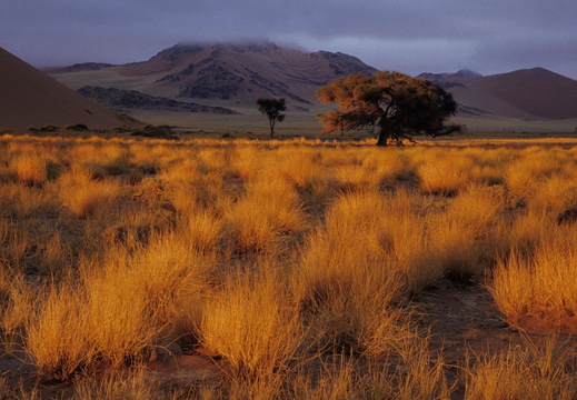 008 Sossusvlei