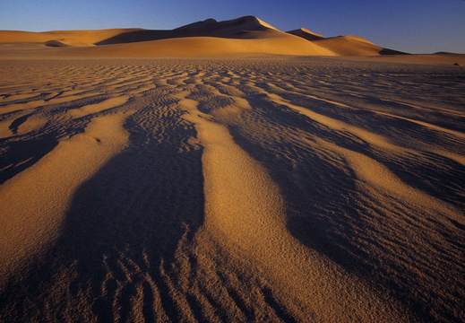 009 Sossusvlei