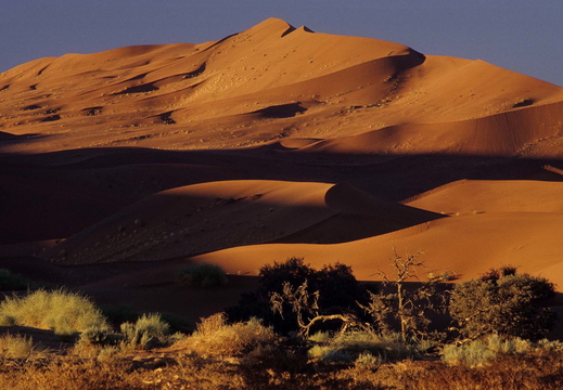010 Sossusvlei