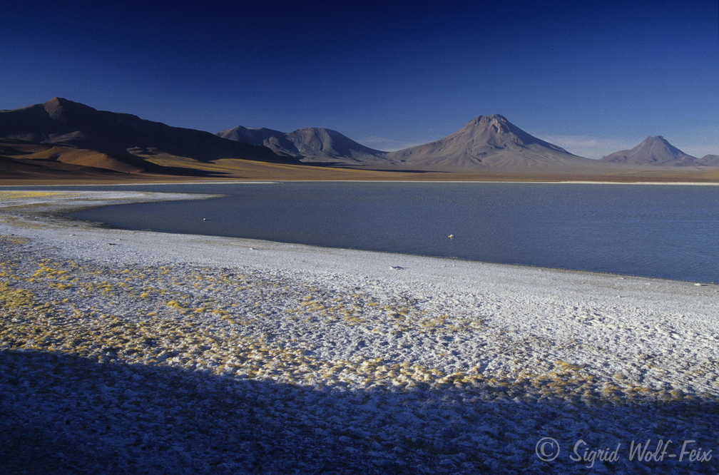 027 Laguna Lejia, Chile.jpg