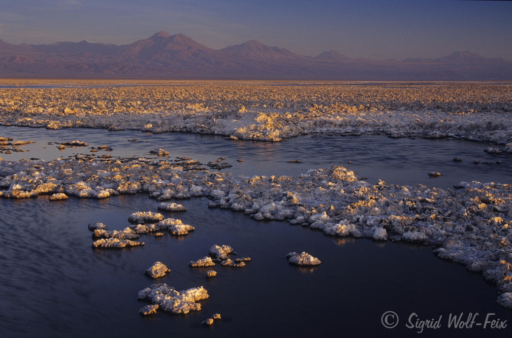 030 Atacama Wüste, Chile.jpg