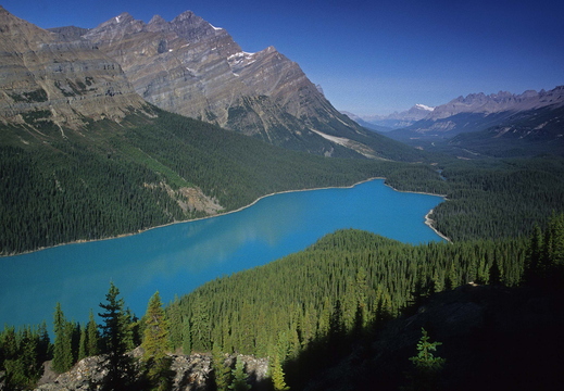 002 Peyto Lake, Banff N.P., Kanada