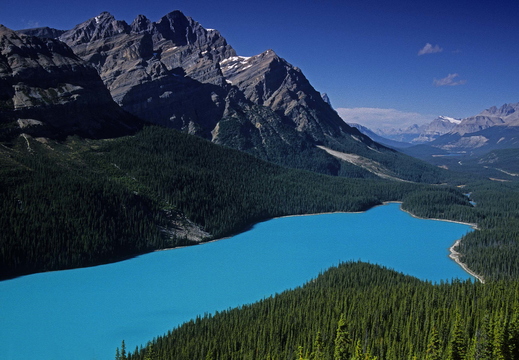 003 Peyto Lake, Banff N.P., Kanada