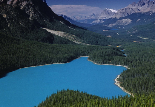 004 Peyto Lake, Banff N.P., Kanada