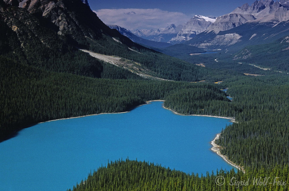 004 Peyto Lake, Banff N.P., Kanada.jpg