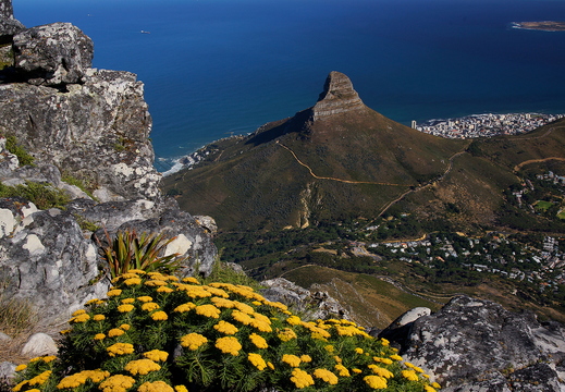 028 Blick vom Tafelberg