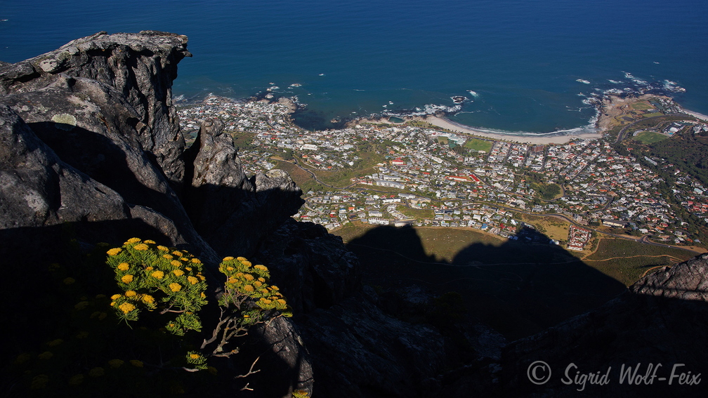 029 Blick vom Tafelberg.jpg