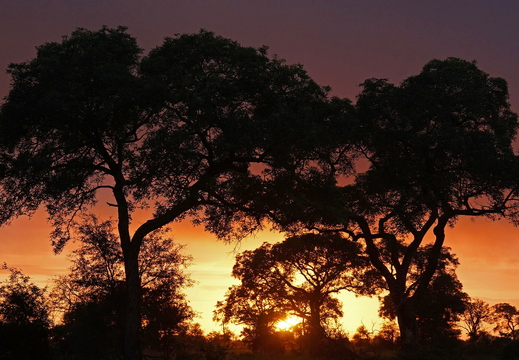 049 Sonnenuntergang im Krüger Nationalpark