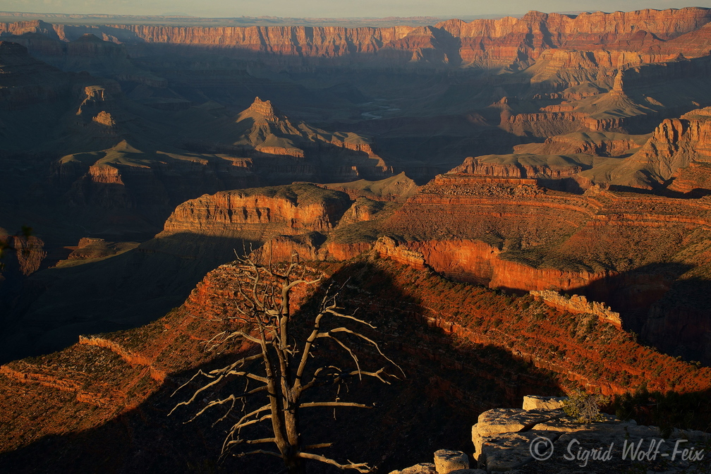 006 Grand Canyon, Grand View Point.jpg