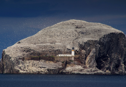 003 Bass Rock