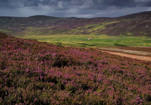 013 Cairngorm Mountains