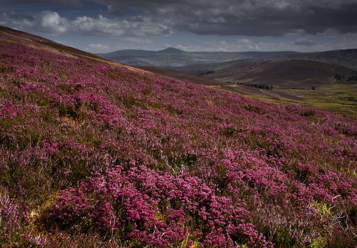 014 Cairngorm Mountains