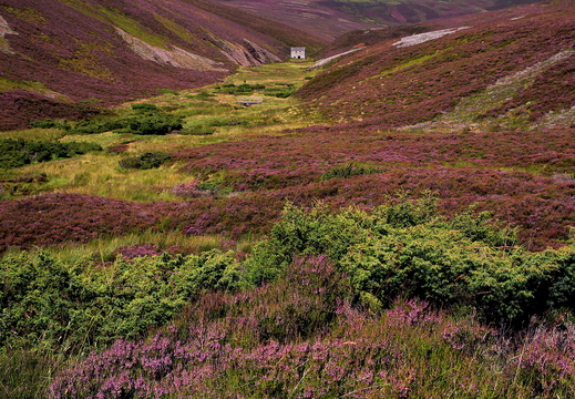015 Cairngorm Mountains