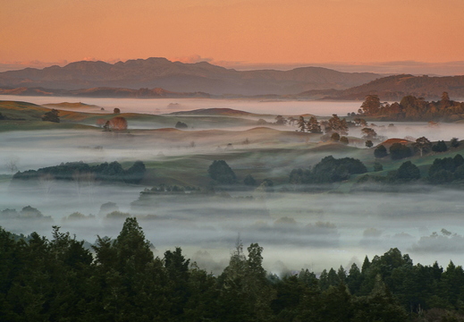 001 Morgenstimmung, Nordinsel