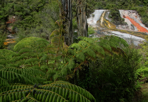 013 Orakei Korako, Nordinsel