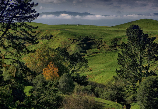 015 Hobbiton, Nordinsel