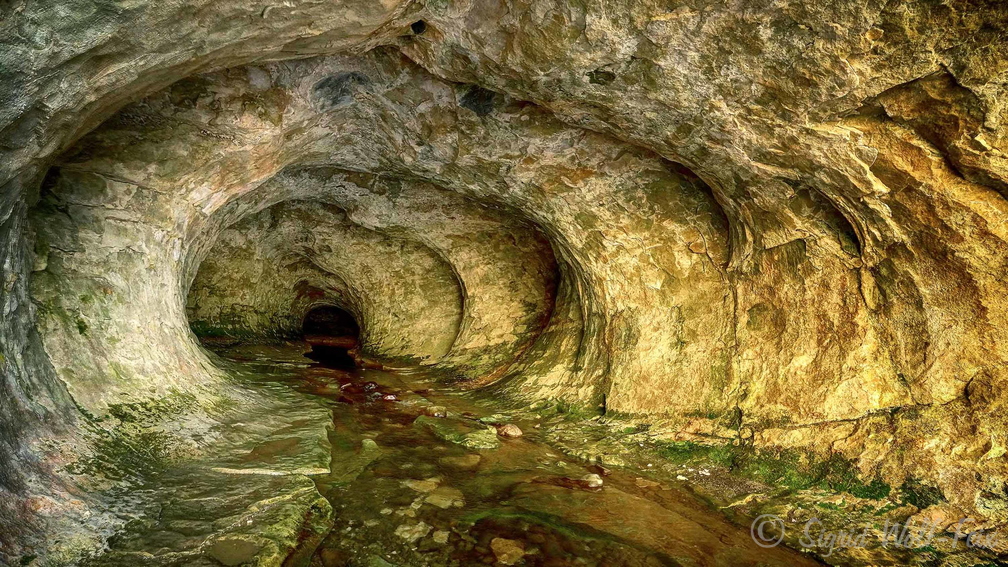 025 Cave Stream, Südinsel.jpg