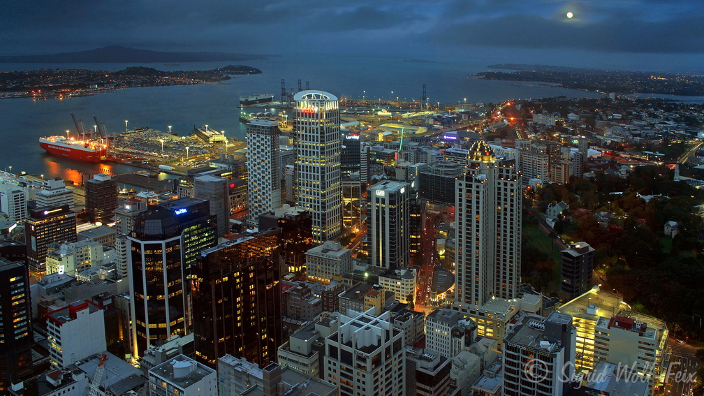 046 Blick vom Sky Tower, Auckland.jpg