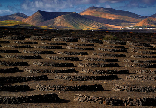 009 La Geria, Lanzarote