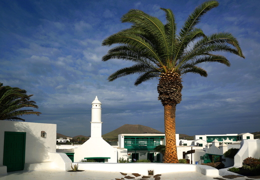 010 Campesino, Lanzarote