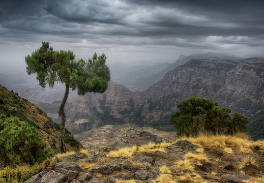 001 Simien Gebirge