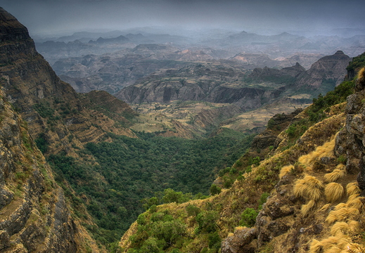 002 Simien Gebirge