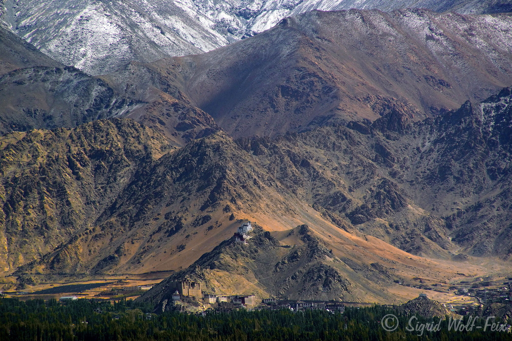 035 Ladakh, Leh.jpg