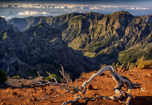 008 Pico Ruivo