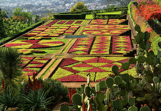 035 Botanischer Garten, Funchal