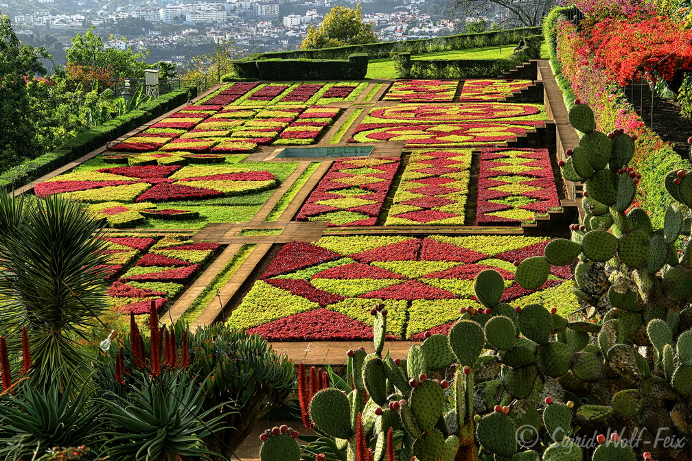 035 Botanischer Garten, Funchal.jpg