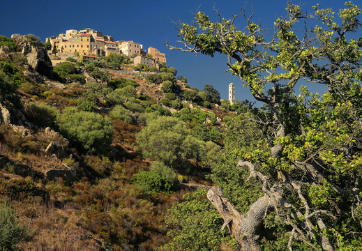014 San Antonio, Balagne