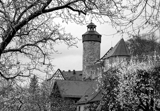 014 Burg Zwernitz, Wonsees