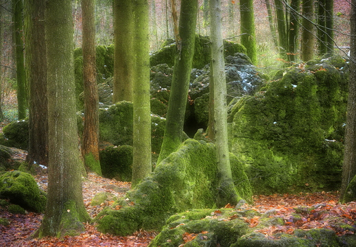 035 Druidenhain