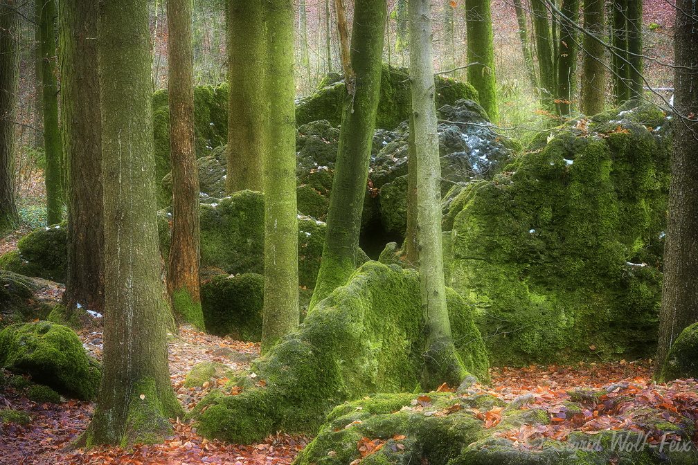 035 Druidenhain.jpg