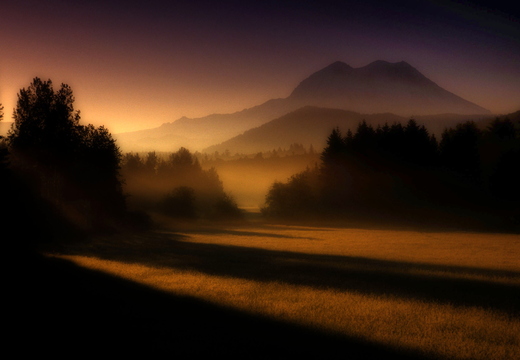 Mt. Rainier Morning