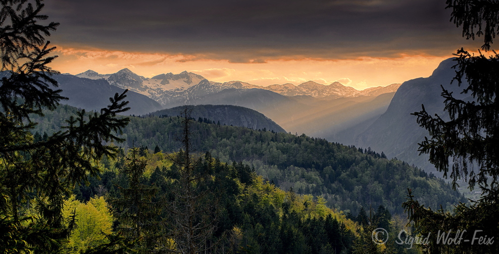 Julische Alpen.jpg