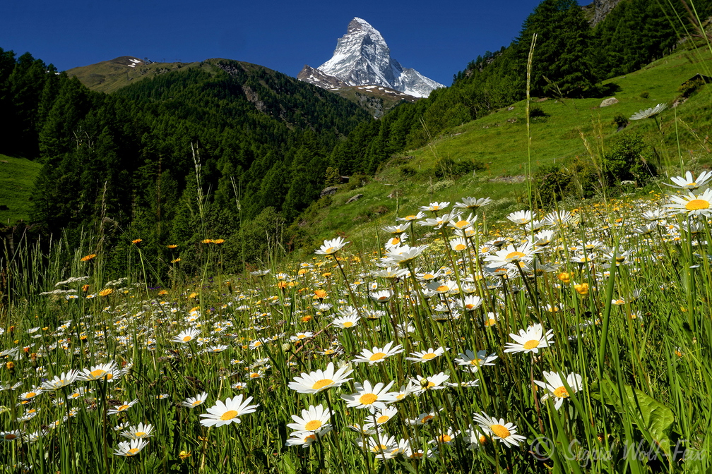 004 Matterhorn.jpg