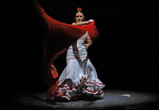 022 Flamenco