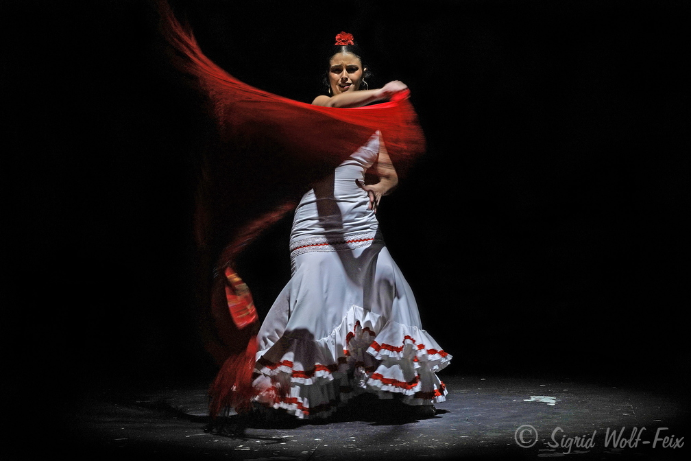 022 Flamenco.jpg