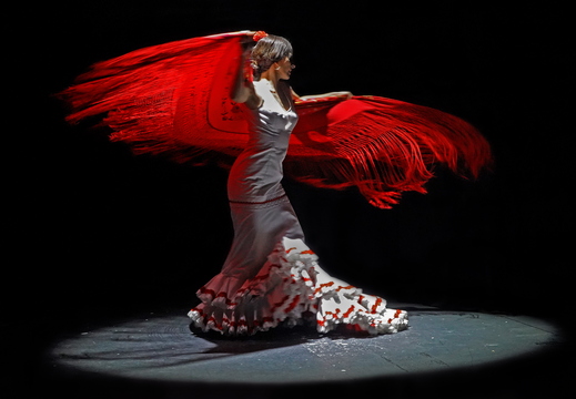 025 Flamenco