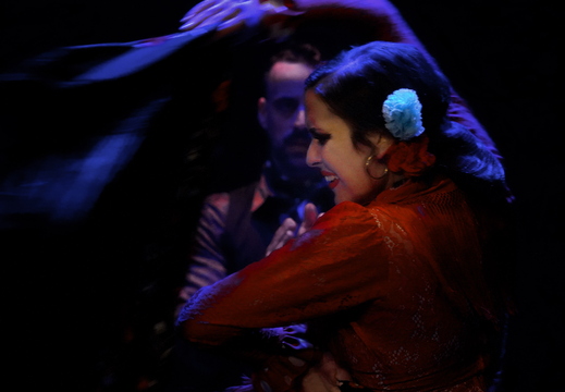 029 Flamenco